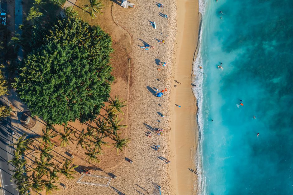 Stunning aerial shot of sandy beach with people swimming and palm trees lining the coast.