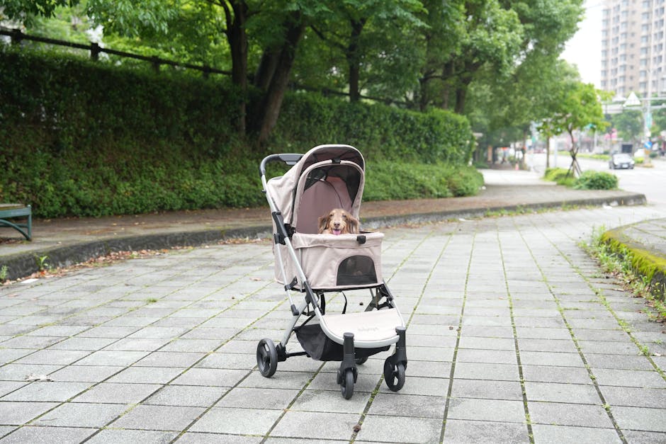 PAWZIDEA 4-in-1 Pet Stroller Review: Foldable, Detachable Carrier & Escape-Proof Canopy