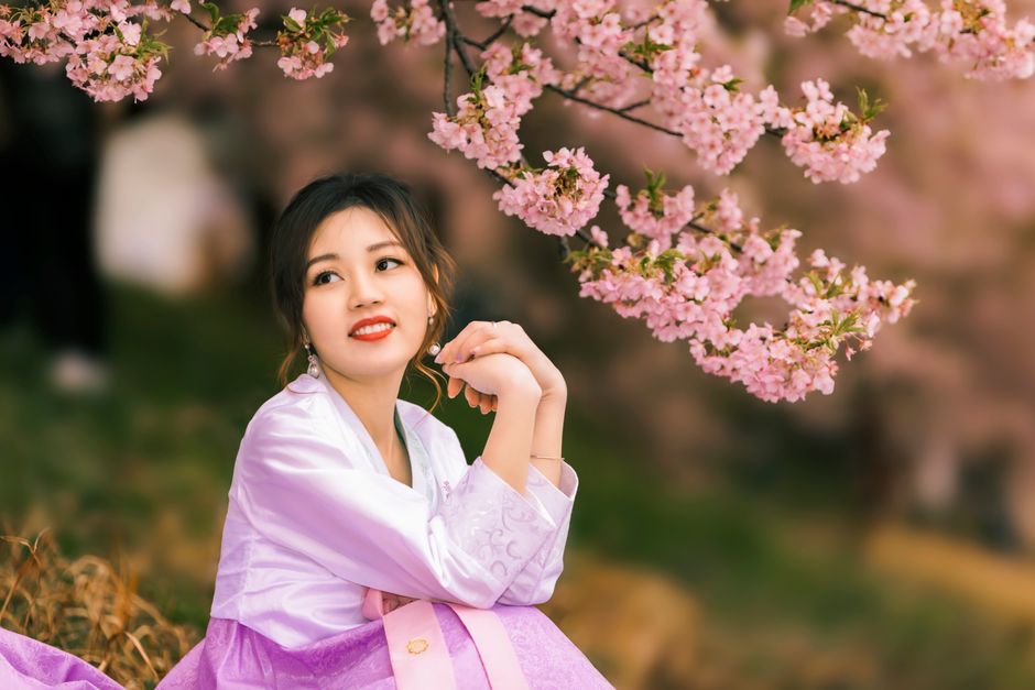 Beautiful East Asian woman in traditional dress enjoying cherry blossoms in spring.
